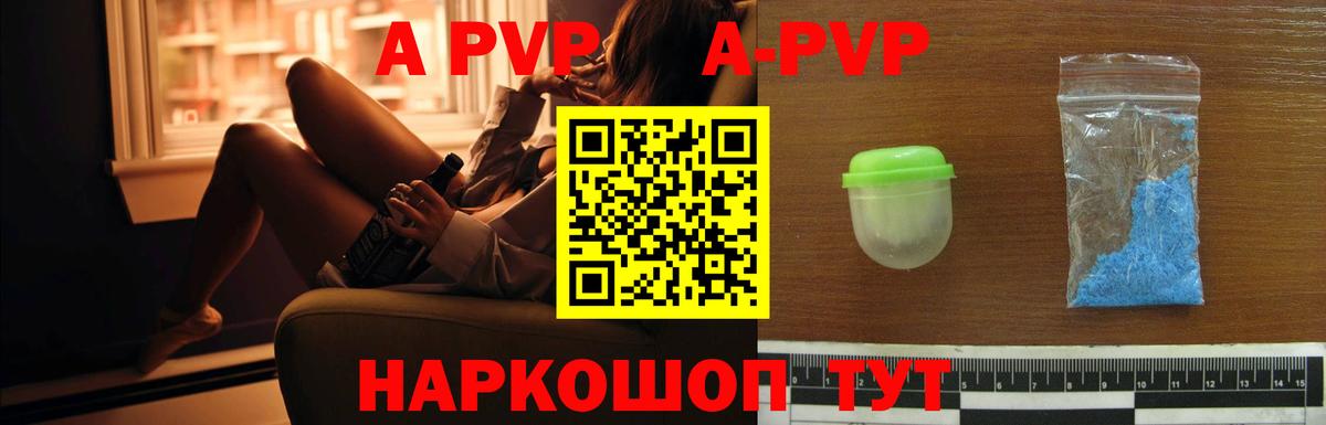 A PVP СК КРИС Гатчина