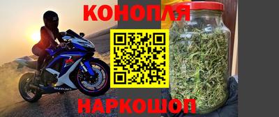 крисы Тверь
