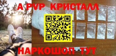 крисы Тверь