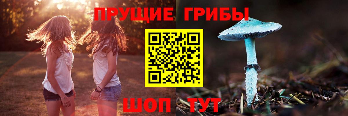 Гатчина  Галлюциногенные грибы Psilocybe  Псилоцибиновые грибы GOLDEN TEACHER  Вход с VPN 